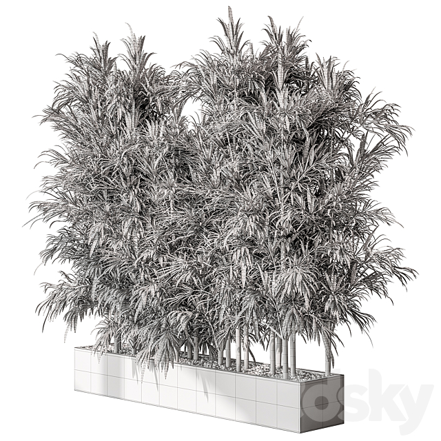 Bamboo Plants – Outdoor Plants 469 3DSMax File - thumbnail 4