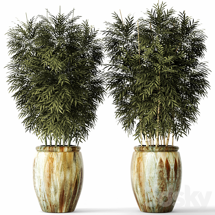 Bamboo set flower pot bamboo bush thickets bamboo pot flowerpot outdoor 3DS Max - thumbnail 1