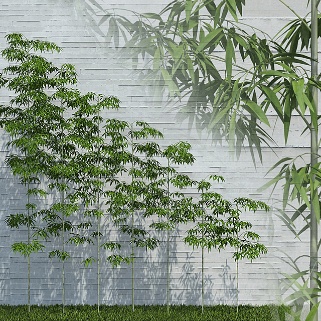 Bamboo Trees for scatter 3ds Max - thumbnail 1