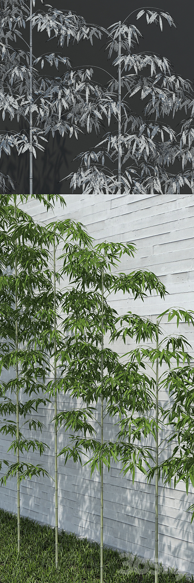 Bamboo Trees for scatter 3ds Max - thumbnail 3