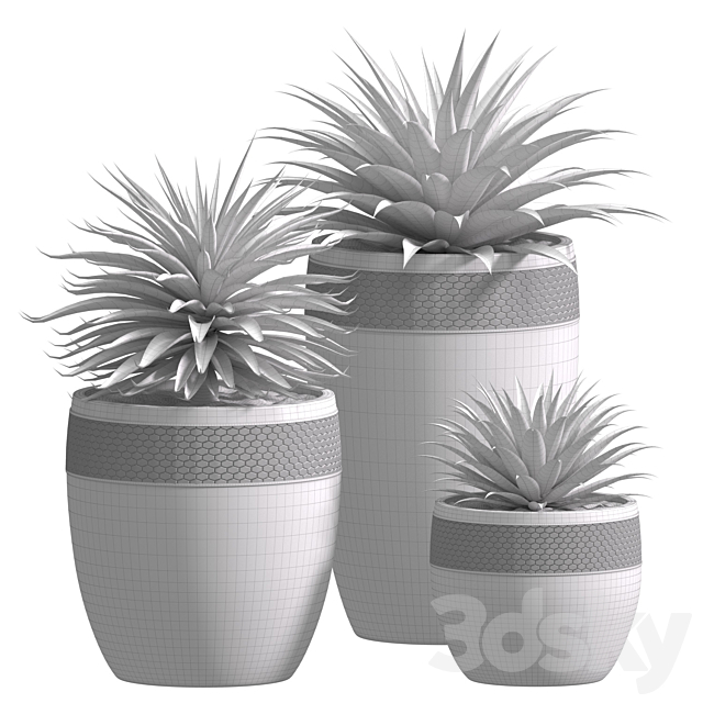 Beautiful Decorative Agave plants in outdoor pots.Restoration Hardware Flowerpot 3ds Max - thumbnail 3