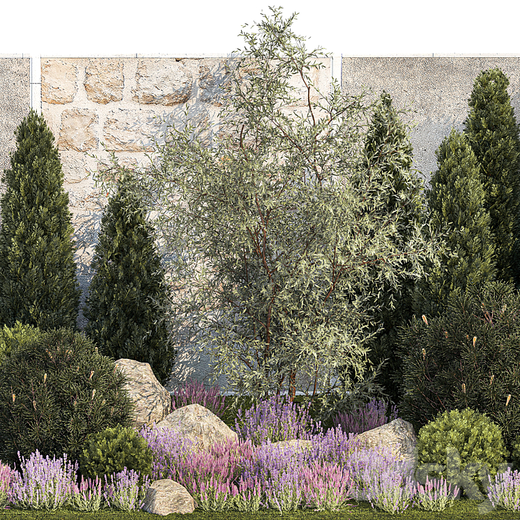 Beautiful garden with arborvitae and landscaping with pine cypress topiary boulder stones flowers and lavender sage bushes. 1265 3DS Max Model - thumbnail 2