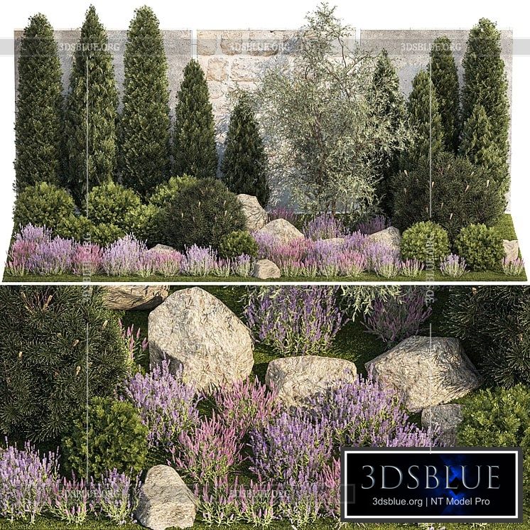 Beautiful garden with arborvitae and landscaping with pine cypress topiary boulder stones flowers and lavender sage bushes. 1265 3DS Max - thumbnail 3