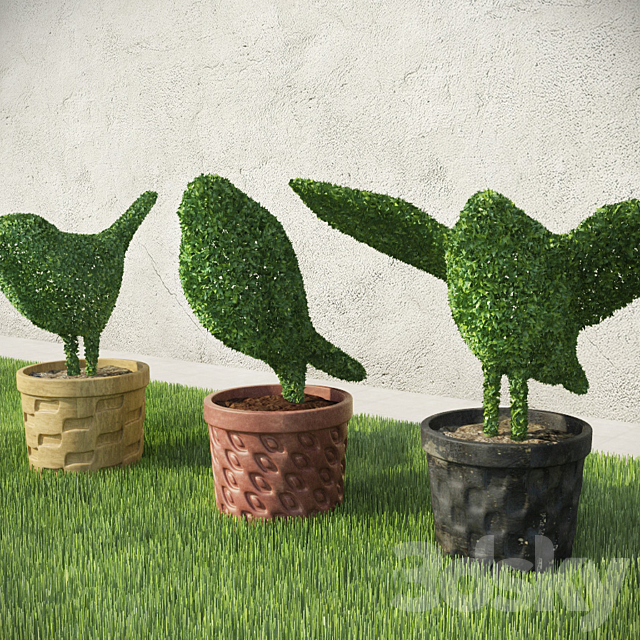 Birds – Shrubs 3ds Max - thumbnail 2