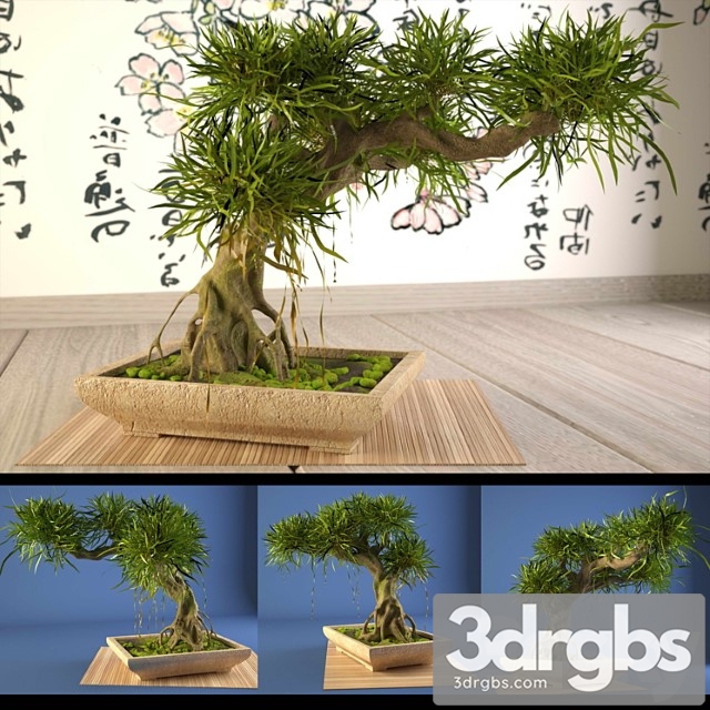 Bonsai 11 3dsmax Download - thumbnail 1