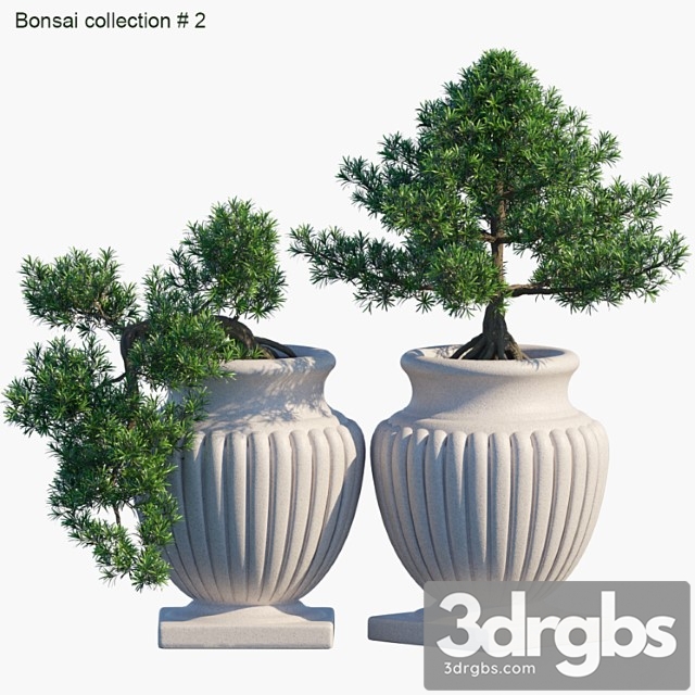 Bonsai collection - thumbnail 1