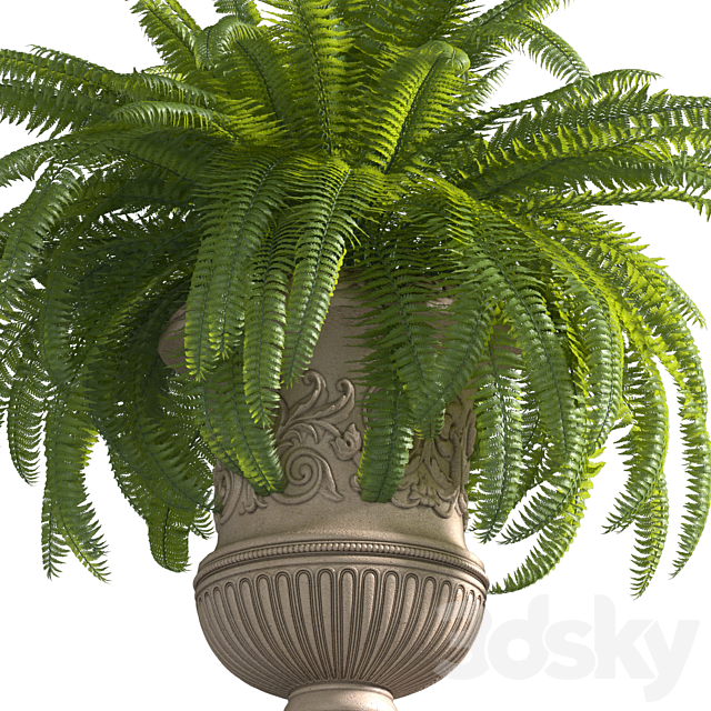 Boston Fern in a classic flowerpot.Flowers Garden Plant Palm Entrance Doors Flowerpot Patio Balcony 3DS Max Model - thumbnail 2