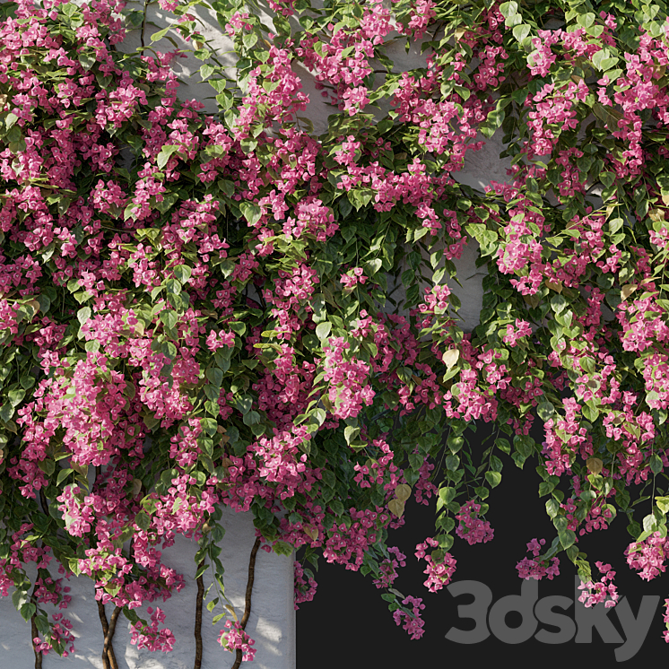 Bougainvillea 02 3DS Max - 3ds Max Files