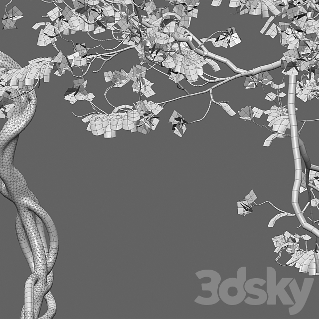 Bougainvillea 11 3DS Max Model - thumbnail 3