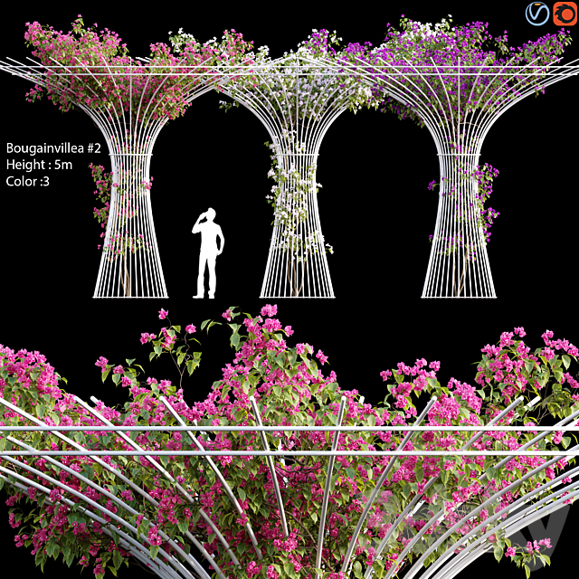 Bougainvillea _ vines # 1 3DSMax File - thumbnail 1