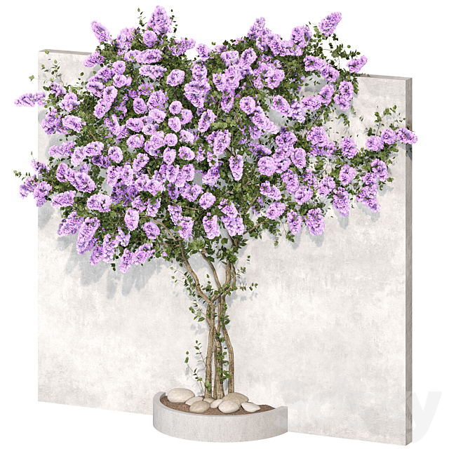 Bougainvillea plant 02 3DS Max Model - thumbnail 2