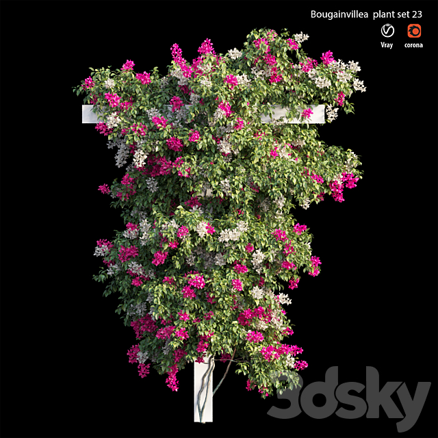 Bougainvillea plant set 23 3ds Max - thumbnail 1