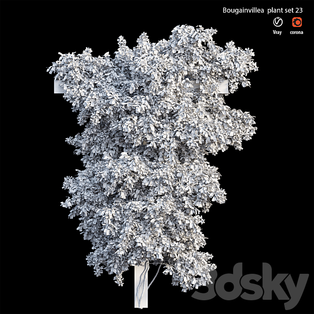 Bougainvillea plant set 23 3ds Max - thumbnail 3