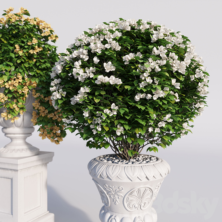 Bougainvillea planter set. 3DS Max - thumbnail 2