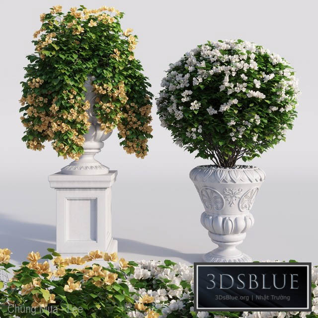 Bougainvillea planter set. 3DS Max - thumbnail 3