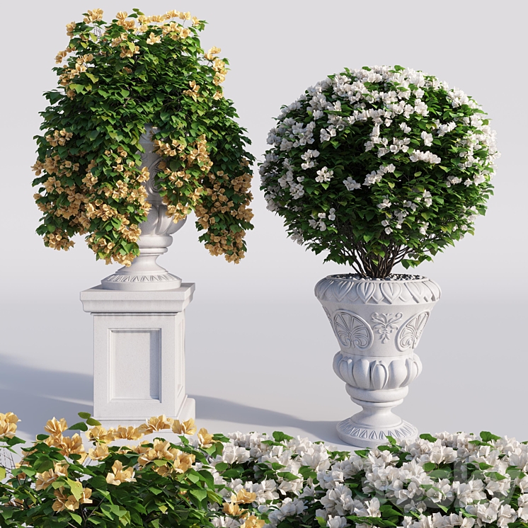 Bougainvillea planter set. 3DS Max - thumbnail 1