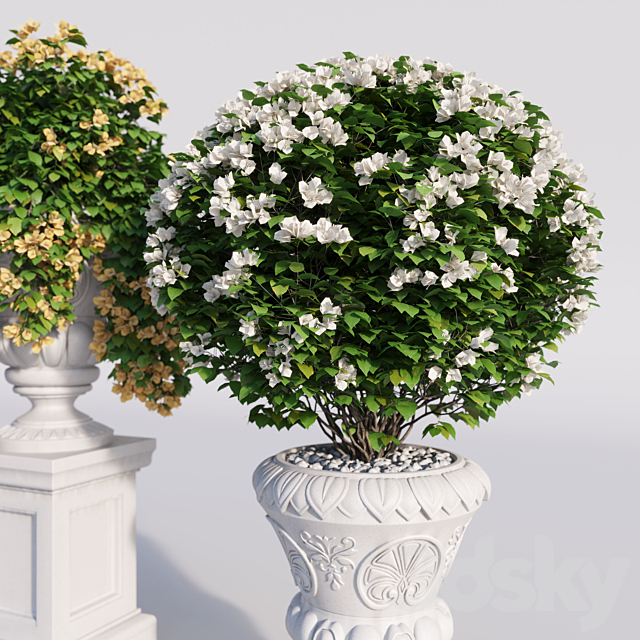 Bougainvillea planter set. 3DSMax File - thumbnail 2