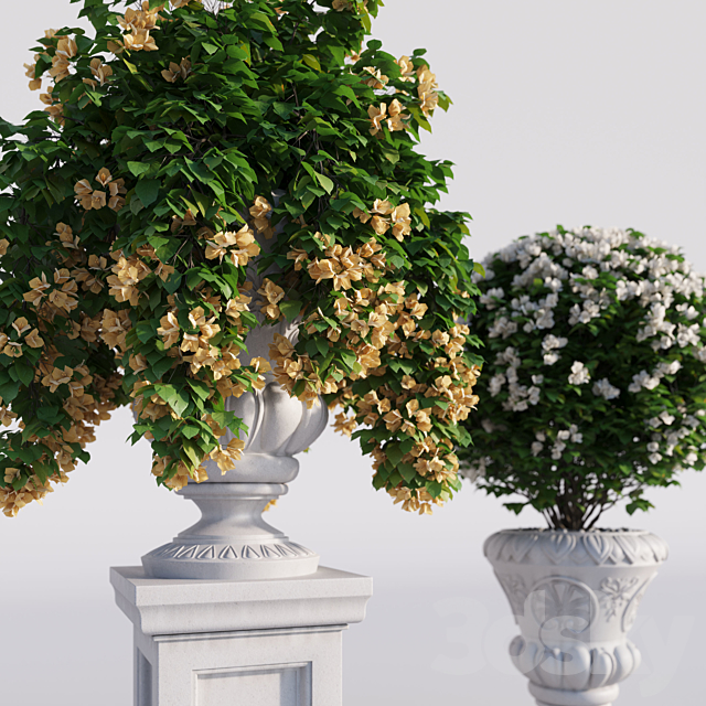 Bougainvillea planter set. 3DSMax File - thumbnail 3