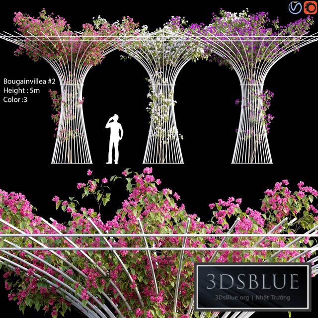 Bougainvillea \/ vines # 1 3DS Max - thumbnail 3