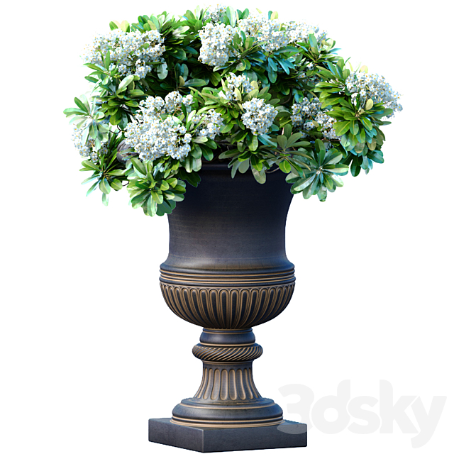 Bouquet of white flowers in a classic black vase for decoration 3ds Max - thumbnail 1