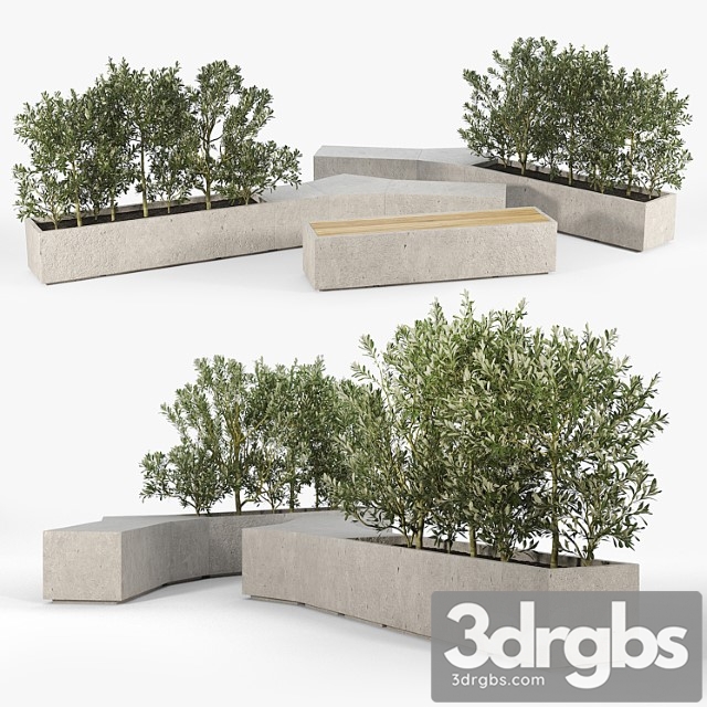 Box planter olea europaea 01 - thumbnail 1