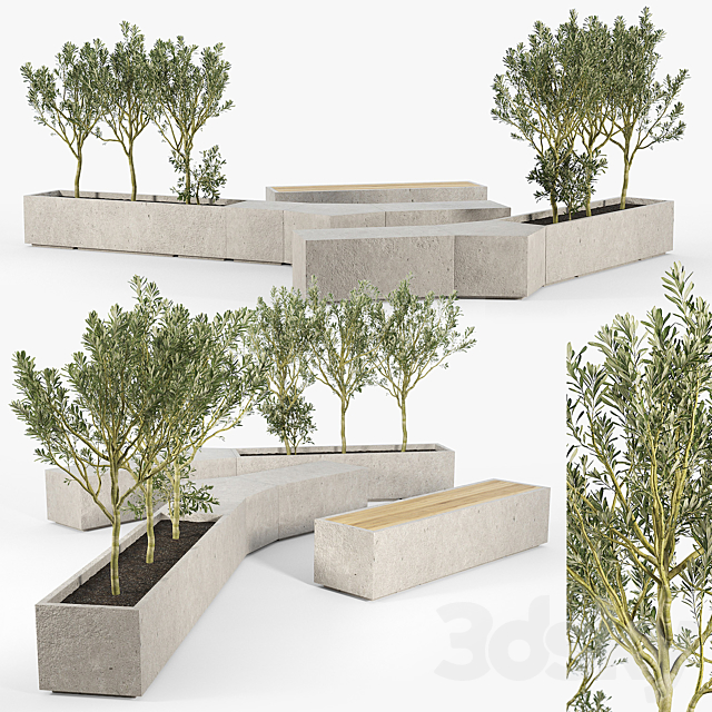 BOX PLANTER Olea europaea 02 3DSMax File - thumbnail 1