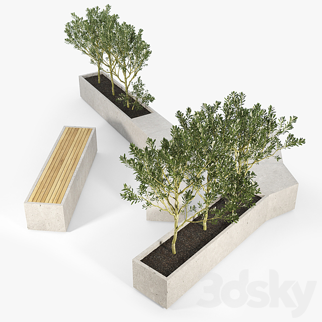 BOX PLANTER Olea europaea 02 3DSMax File - thumbnail 3