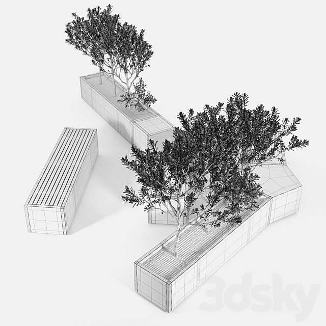 BOX PLANTER Olea europaea 02 3DSMax File - thumbnail 4