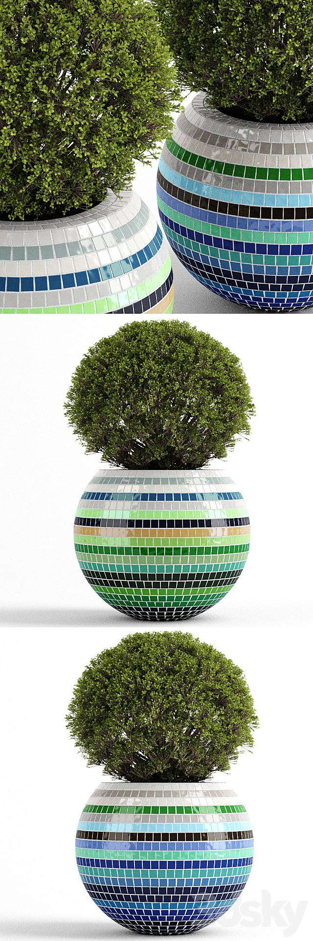 Box tree with Mosaic Pot 3DS Max Model - thumbnail 2