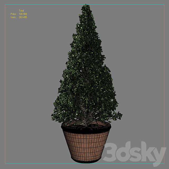 boxwood bush 3DSMax File - thumbnail 2