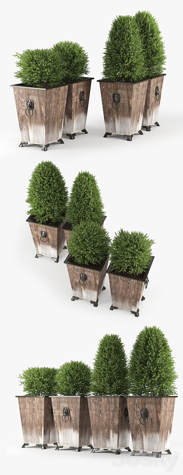 BOXWOOD TOPIARY 3ds Max - thumbnail 2