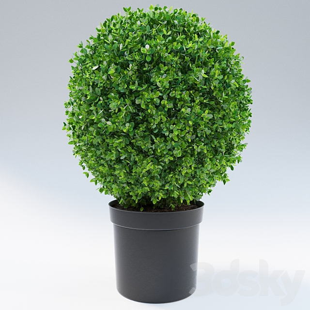 bush 3ds Max - thumbnail 1