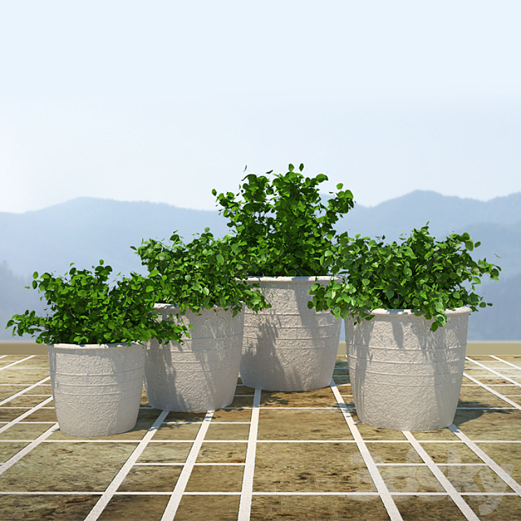 bush 3DS Max - thumbnail 1