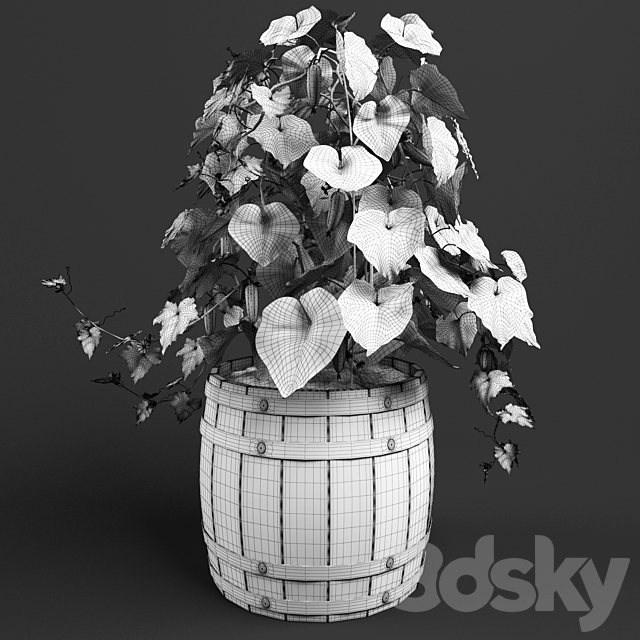 bush cucumber 3DSMax File - thumbnail 3