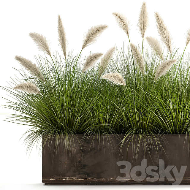 Bush plants in a metal outdoor pot with white Pampas grass veynik reed. 902. 3DS Max Model - thumbnail 2