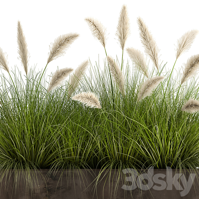 Bush plants in a metal outdoor pot with white Pampas grass veynik reed. 902. 3DS Max Model - thumbnail 3