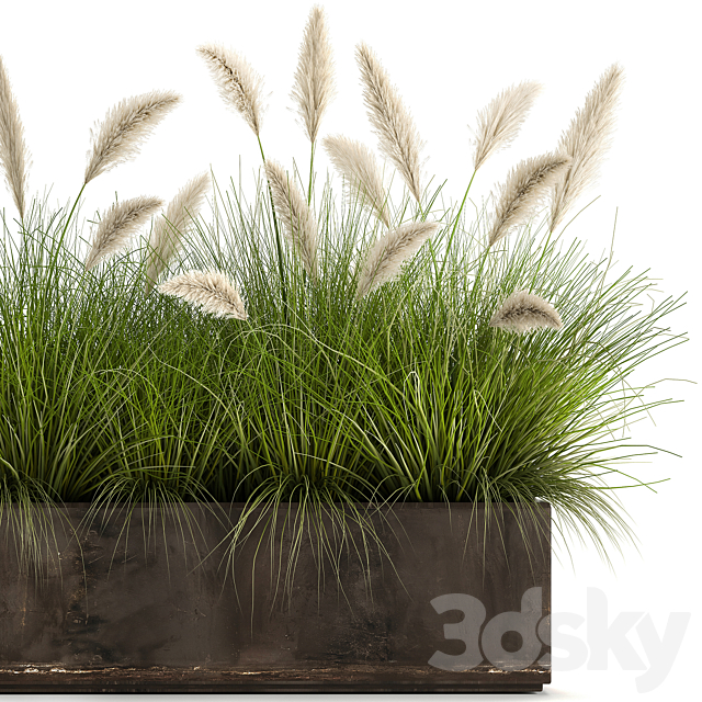 Bush plants in a metal outdoor pot with white Pampas grass veynik reed. 902. 3DS Max Model - thumbnail 4