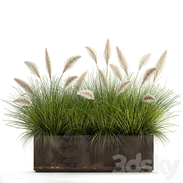 Bush plants in a metal outdoor pot with white Pampas grass veynik reed. 902. 3DS Max Model - thumbnail 5