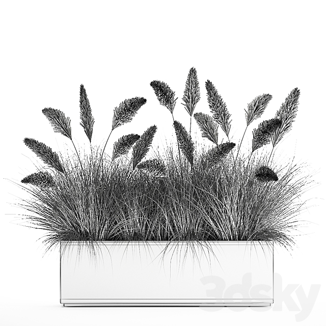 Bush plants in a metal outdoor pot with white Pampas grass veynik reed. 902. 3DS Max Model - thumbnail 6