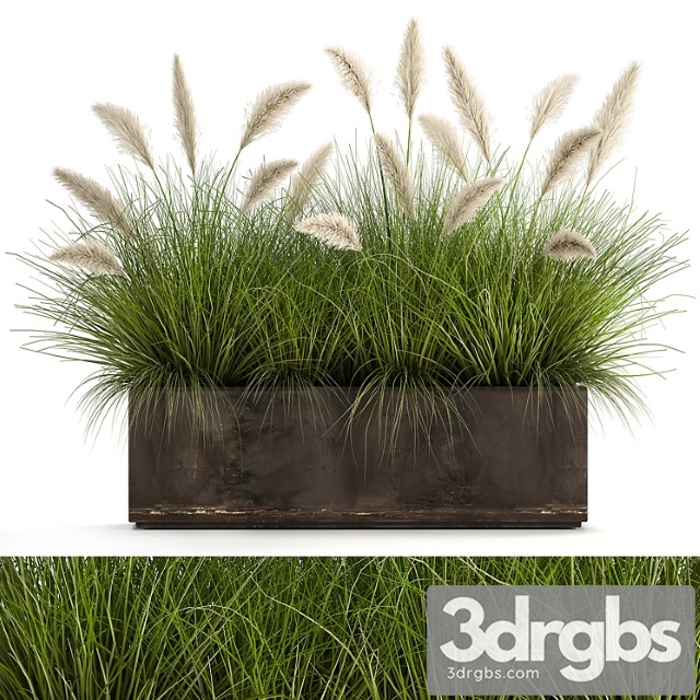 Bush plants in a metal outdoor pot with white pampas grass, veynik, reed. 902. - thumbnail 1