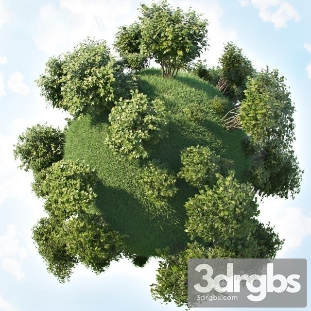 Bush Set 3dsmax Download - thumbnail 1