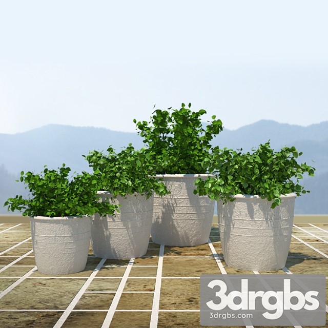 Bushes 2 3dsmax Download - thumbnail 1