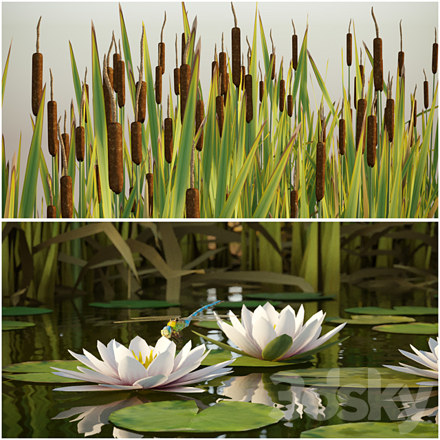 Cattail water lily dragonfly 3DS Max Model - thumbnail 2