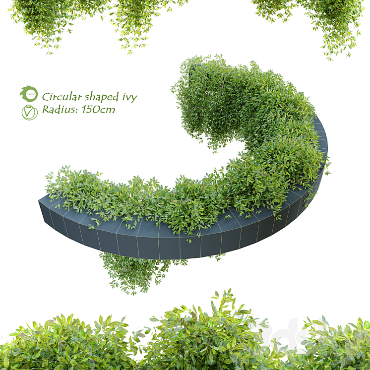 Circular shaped ivy 3DS Max - thumbnail 1