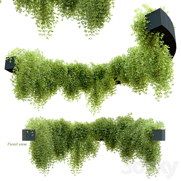 Circular shaped ivy 3DS Max - thumbnail 2