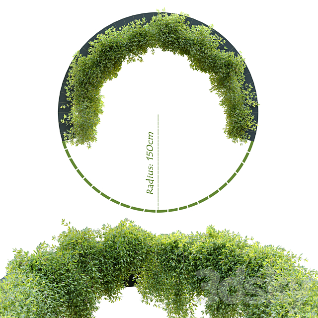 Circular shaped ivy 3DSMax File - thumbnail 3