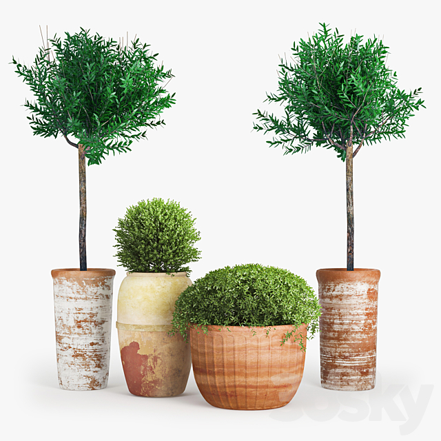 Clay_Plant_Set 3ds Max - thumbnail 1