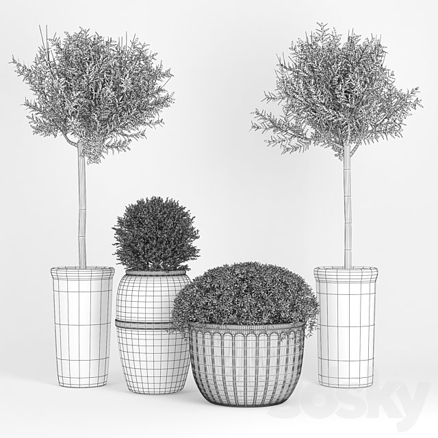 Clay_Plant_Set 3ds Max - thumbnail 2