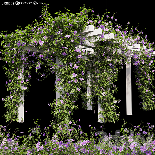 Clematis 03 3DSMax File - thumbnail 1