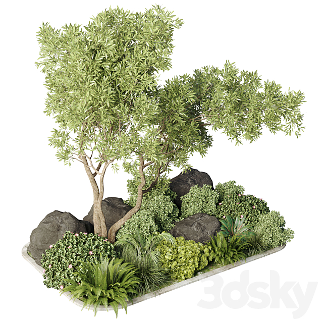 Collection 40 outdoor and indoor pot plant & tree & bush & fern the garden set pot 3DS Max Model - thumbnail 2